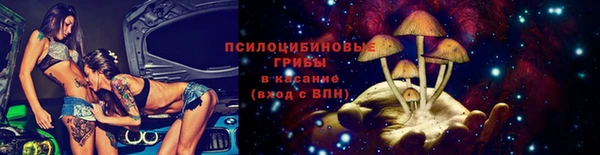 соль ск Алексеевка