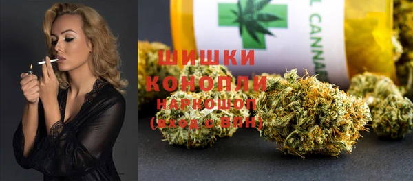 соль ск Алзамай