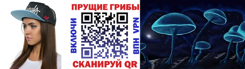 Псилоцибиновые грибы Psilocybe  блэк спрут ссылки  Балабаново 